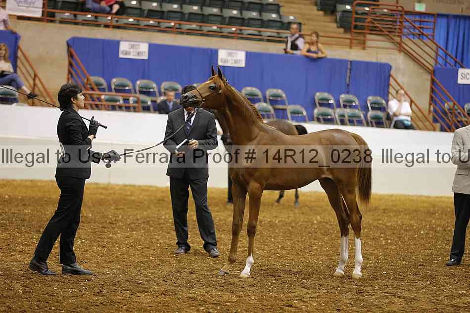 Proof Number 14r12_0238