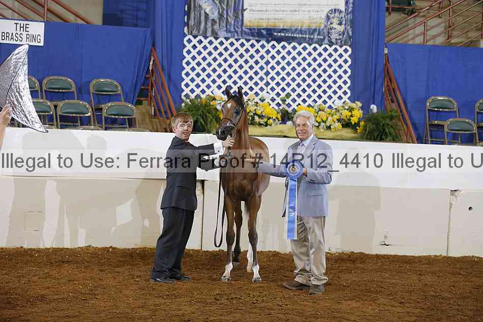 Proof Number 14r12_4410