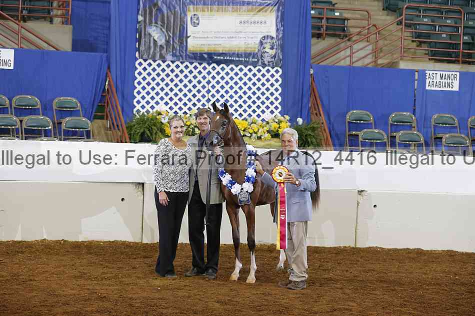 Proof Number 14r12_4416