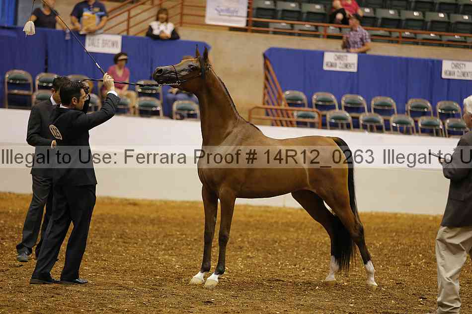 Proof Number 14r12_0263
