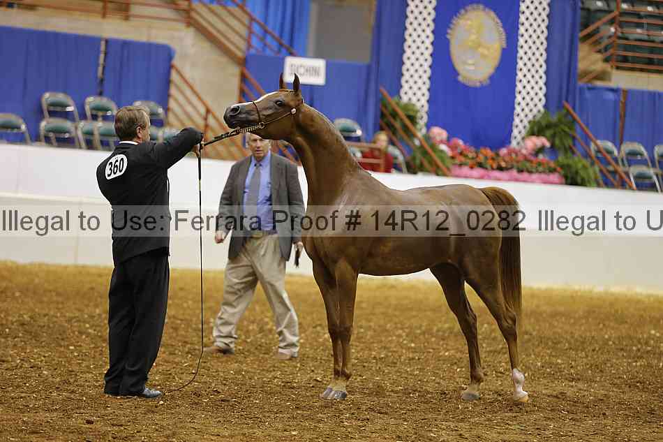 Proof Number 14r12_0282