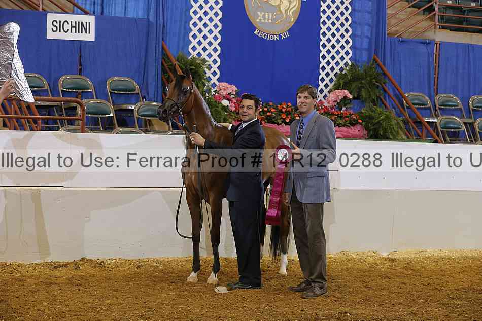 Proof Number 14r12_0288