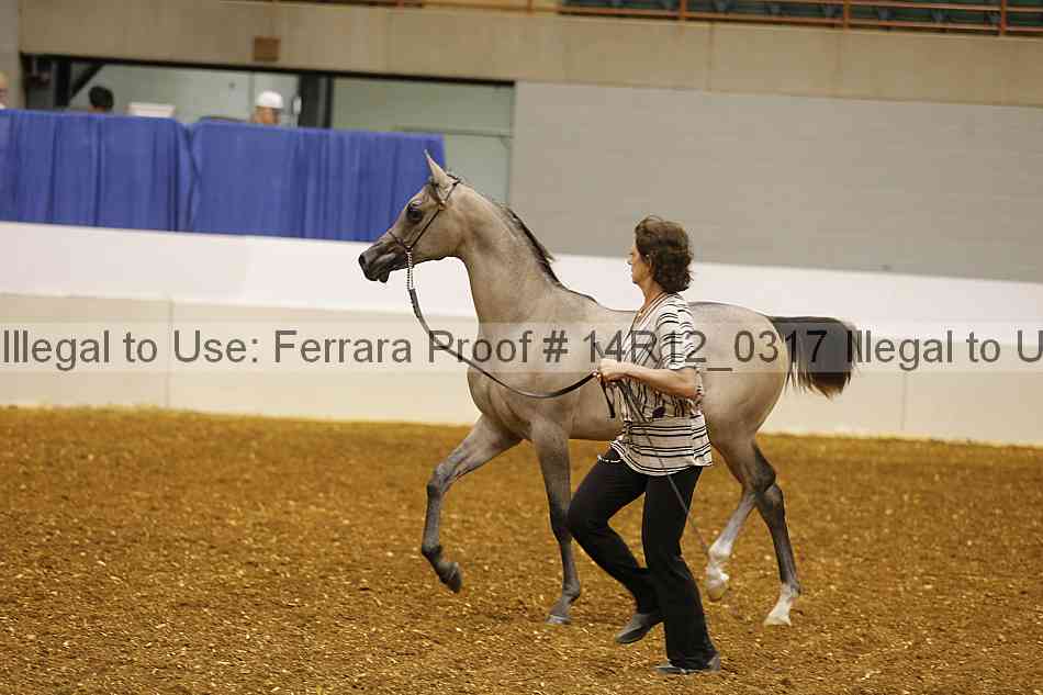 Proof Number 14r12_0317