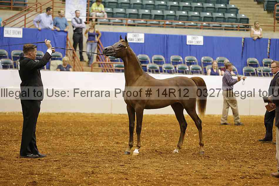 Proof Number 14r12_0327
