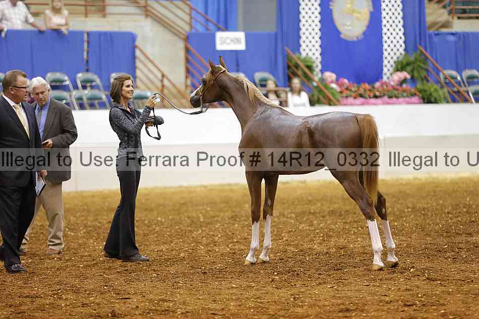 Proof Number 14r12_0332
