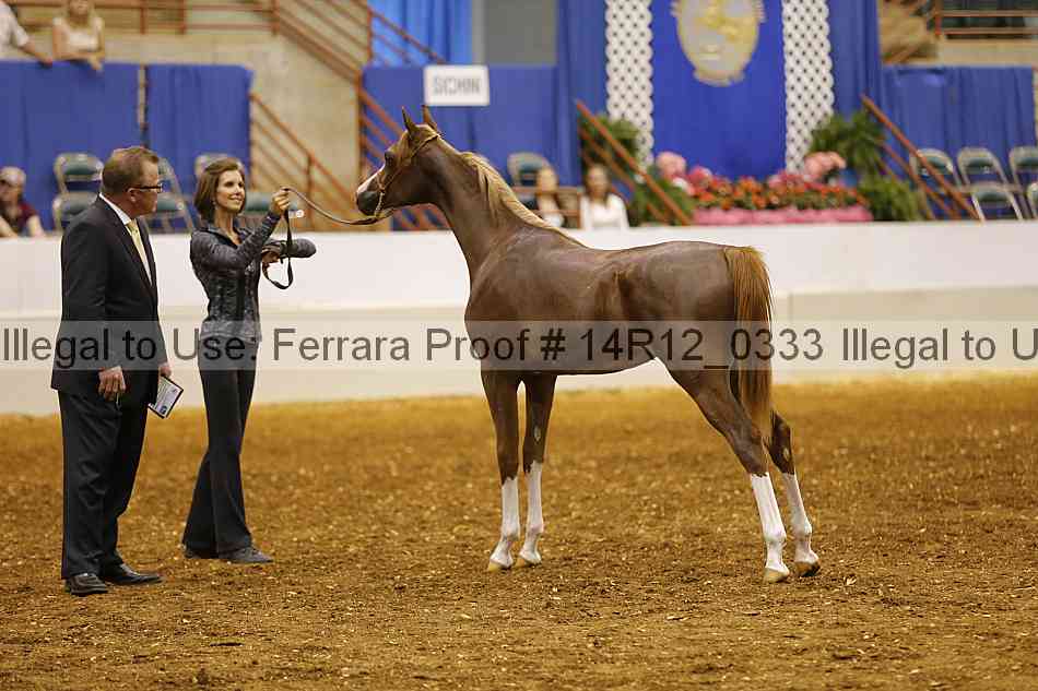 Proof Number 14r12_0333