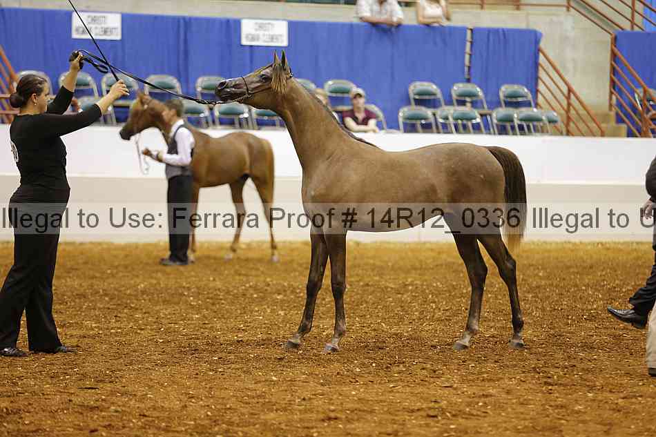 Proof Number 14r12_0336