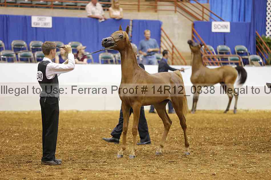 Proof Number 14r12_0338