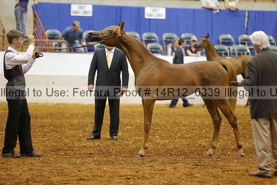 Proof Number 14r12_0339