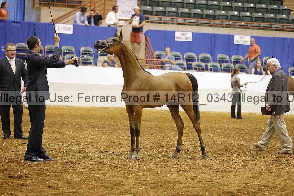 Proof Number 14r12_0343