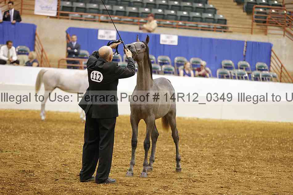 Proof Number 14r12_0349