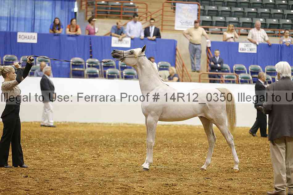 Proof Number 14r12_0350