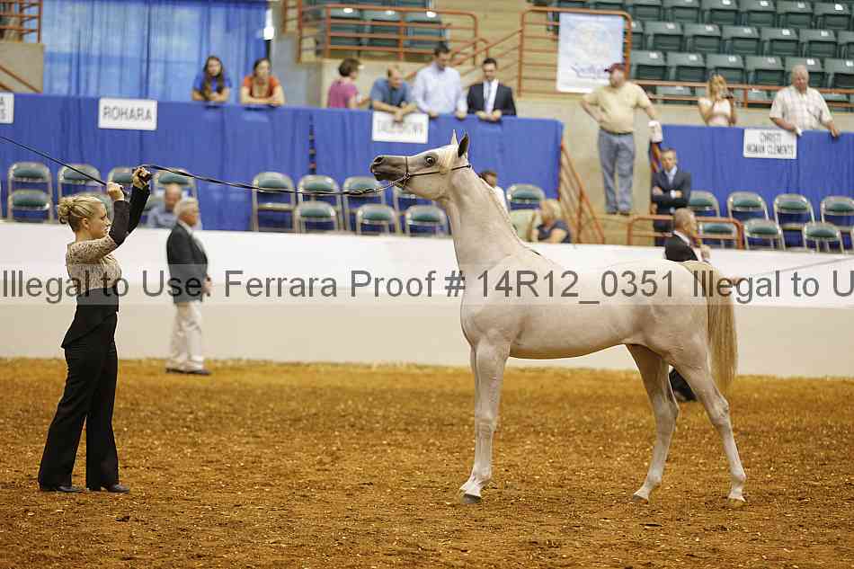 Proof Number 14r12_0351