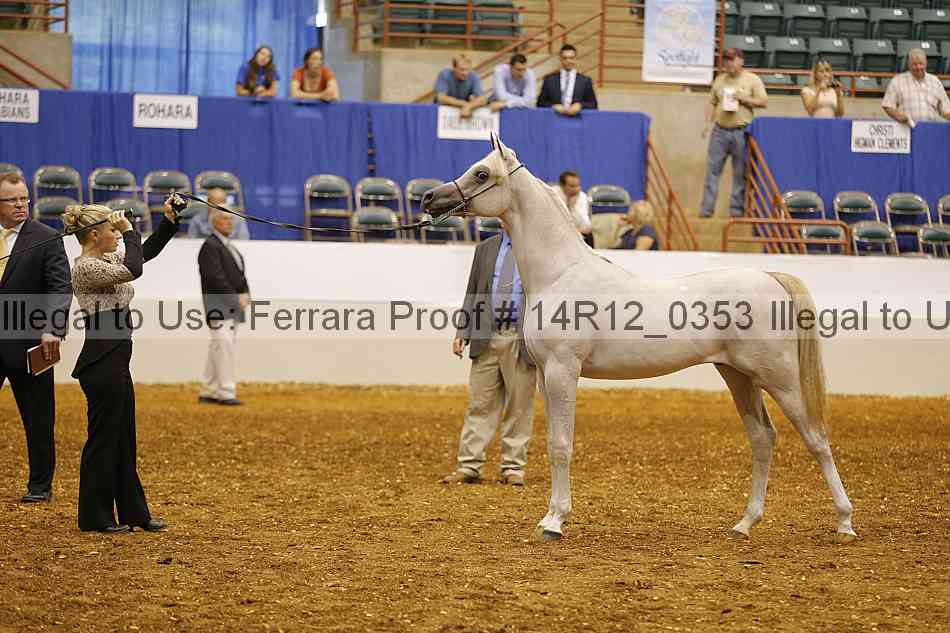 Proof Number 14r12_0353