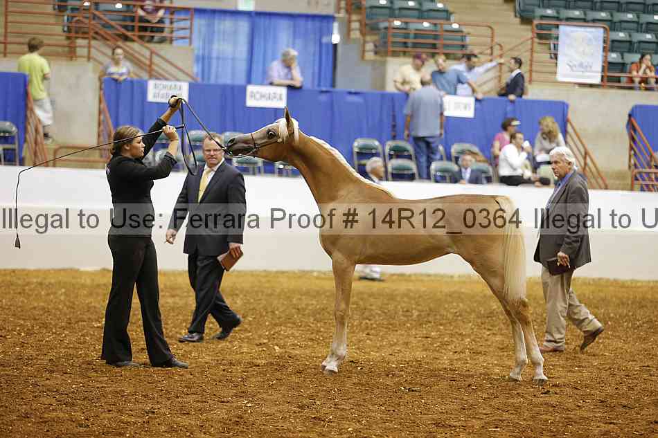 Proof Number 14r12_0364