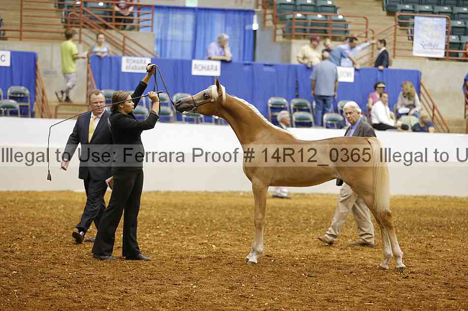 Proof Number 14r12_0365