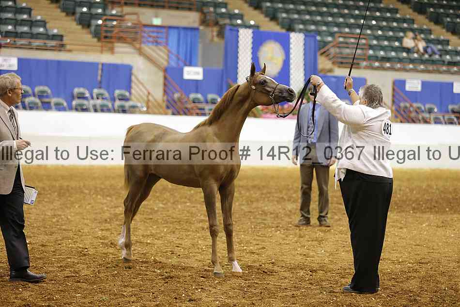 Proof Number 14r12_0367