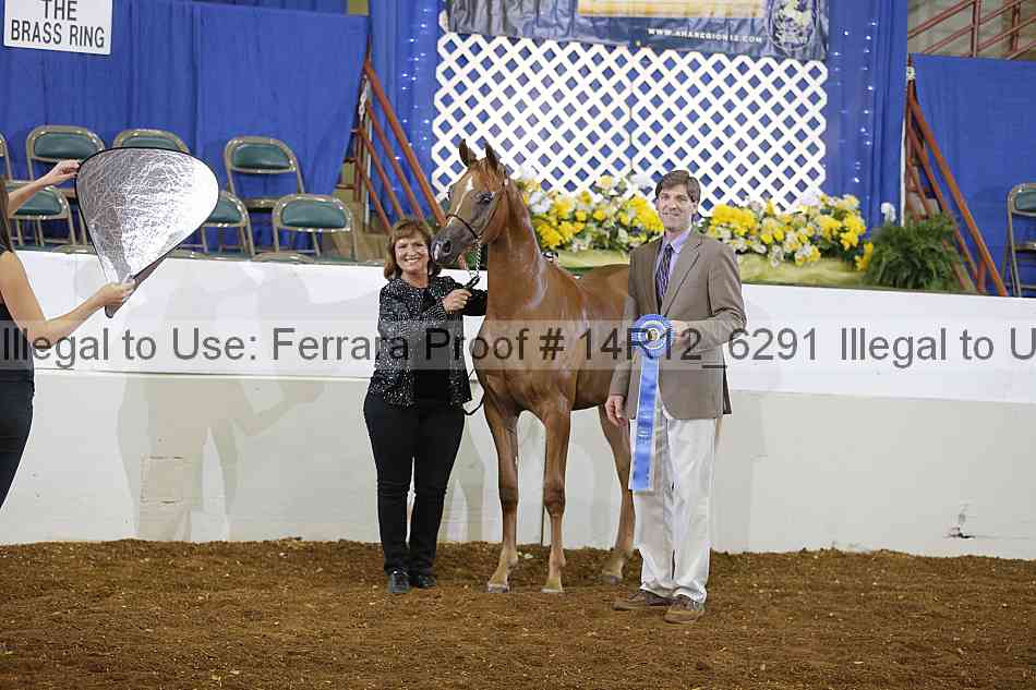 Proof Number 14r12_6291