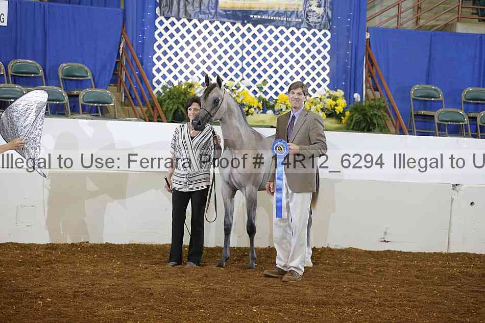 Proof Number 14r12_6294