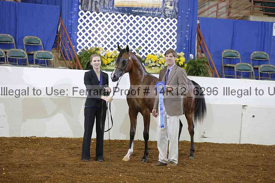 Proof Number 14r12_6296