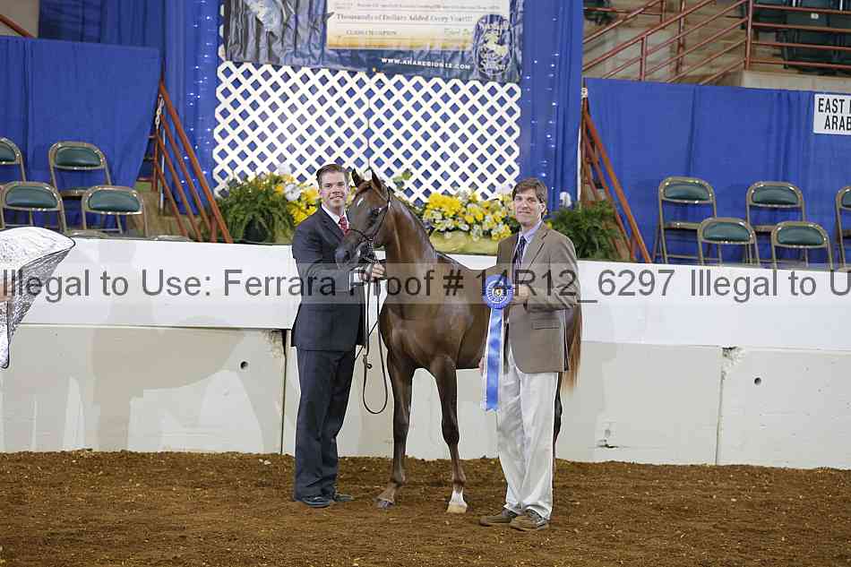 Proof Number 14r12_6297