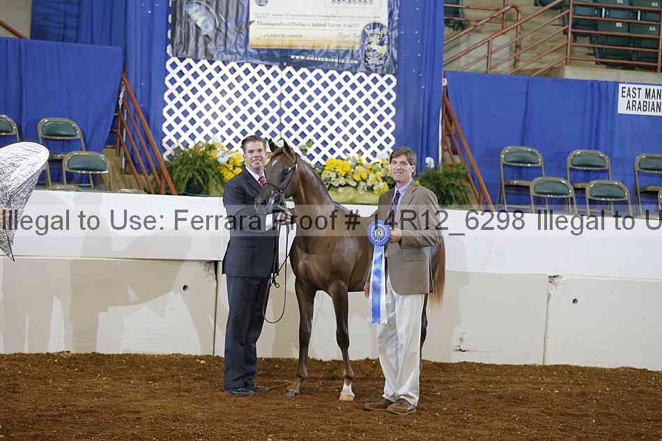 Proof Number 14r12_6298