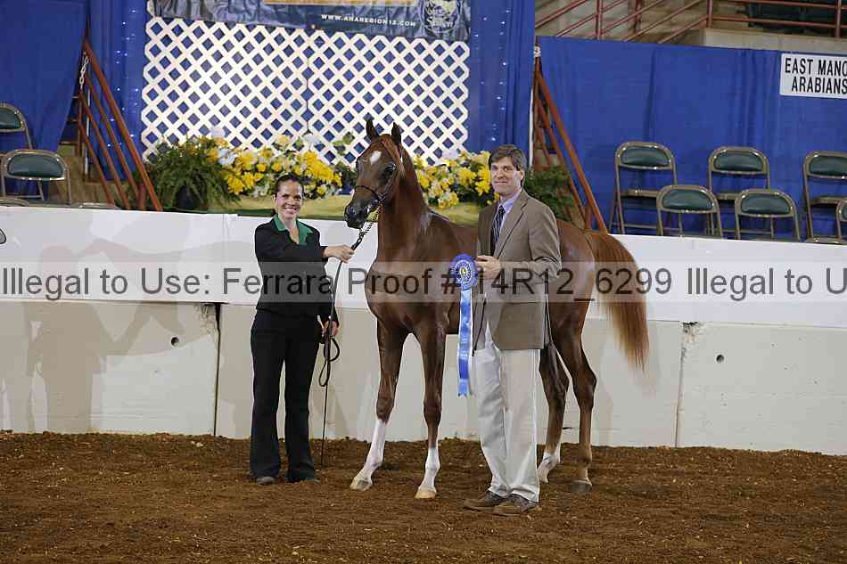 Proof Number 14r12_6299