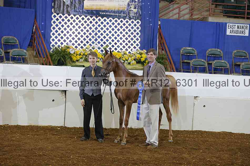 Proof Number 14r12_6301