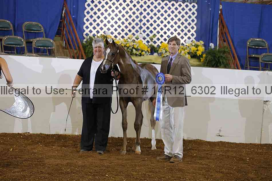Proof Number 14r12_6302