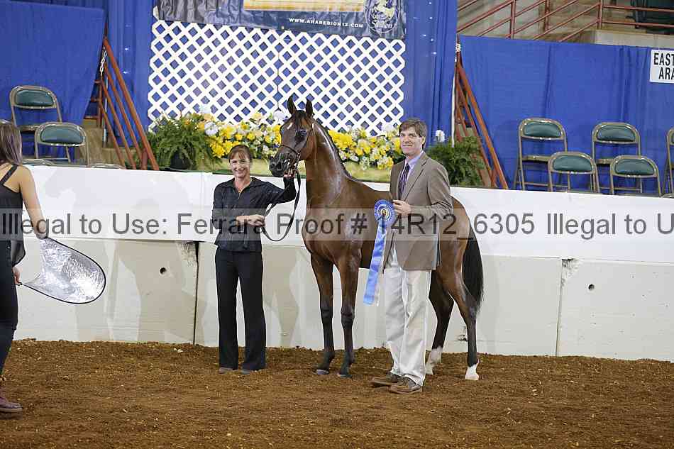Proof Number 14r12_6305