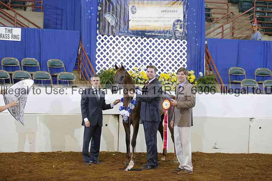 Proof Number 14r12_6306