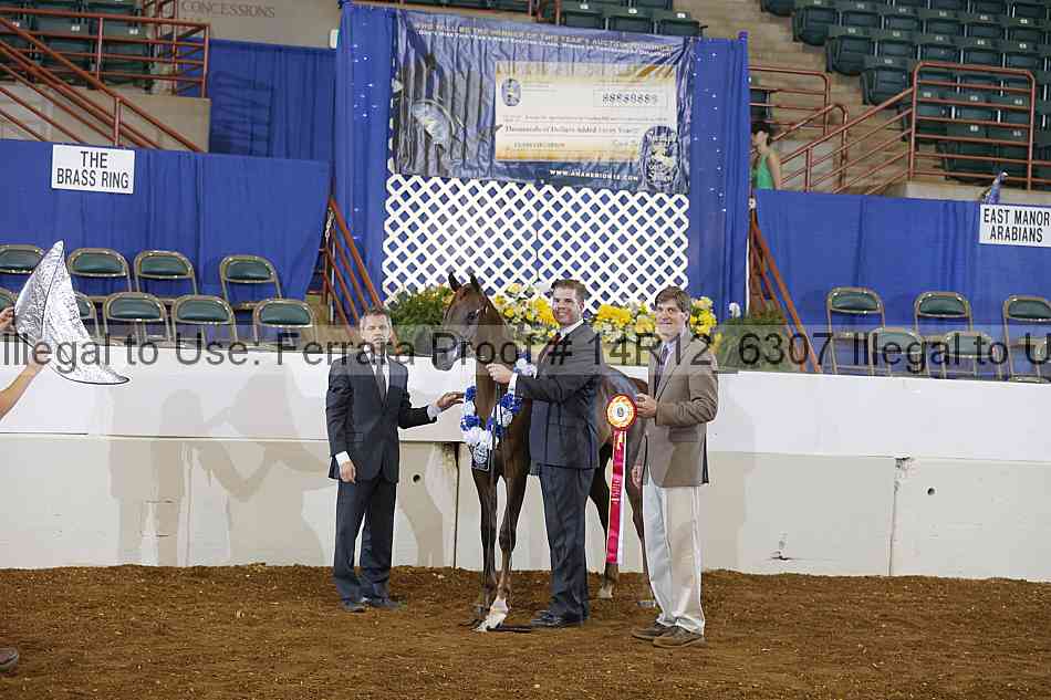 Proof Number 14r12_6307