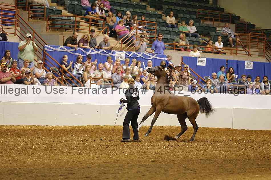 Proof Number 14r12_6308