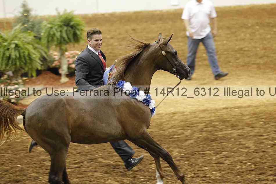 Proof Number 14r12_6312