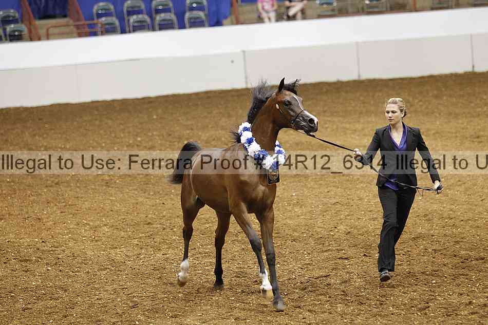Proof Number 14r12_6314