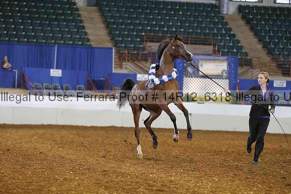 Proof Number 14r12_6318
