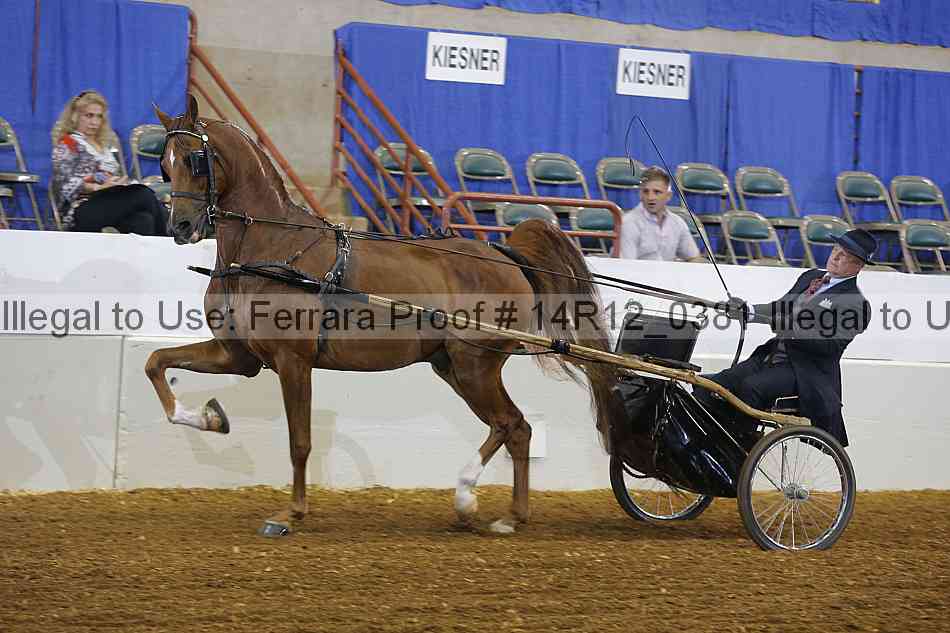 Proof Number 14r12_0381