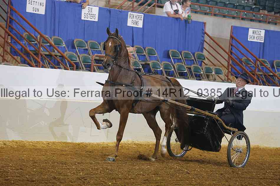 Proof Number 14r12_0385