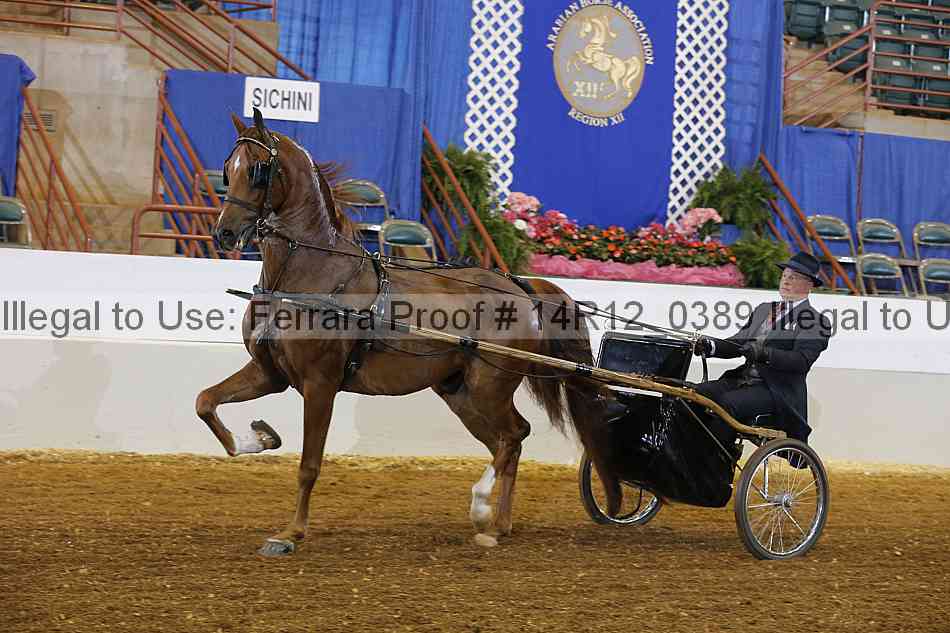 Proof Number 14r12_0389