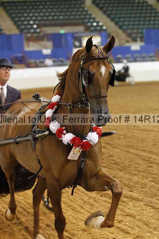 Proof Number 14r12_0393