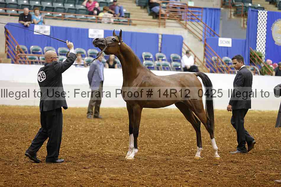 Proof Number 14r12_0425