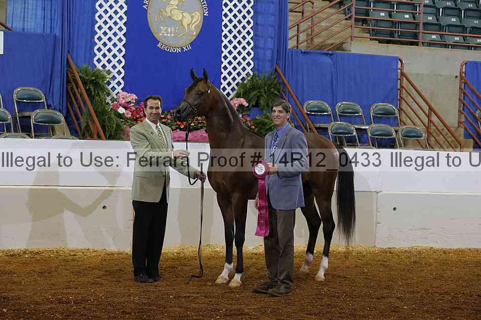 Proof Number 14r12_0433