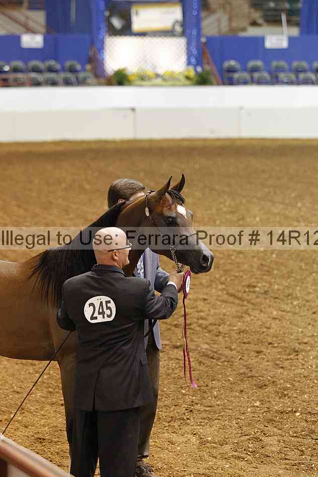 Proof Number 14r12_0434