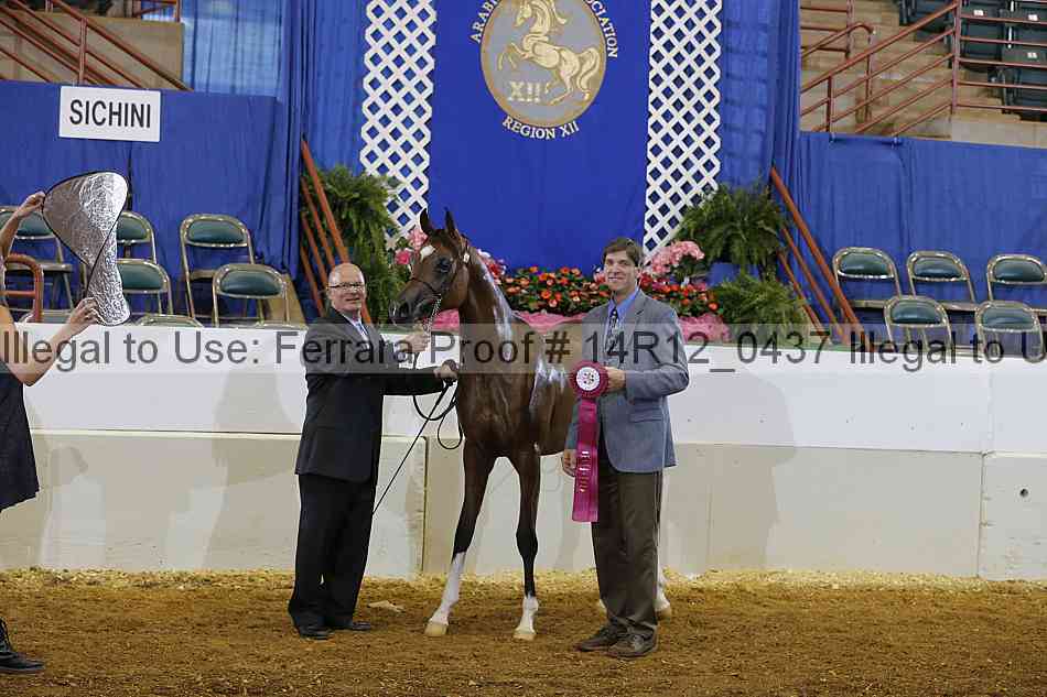 Proof Number 14r12_0437