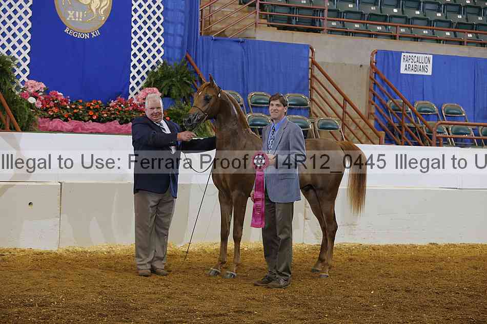 Proof Number 14r12_0445
