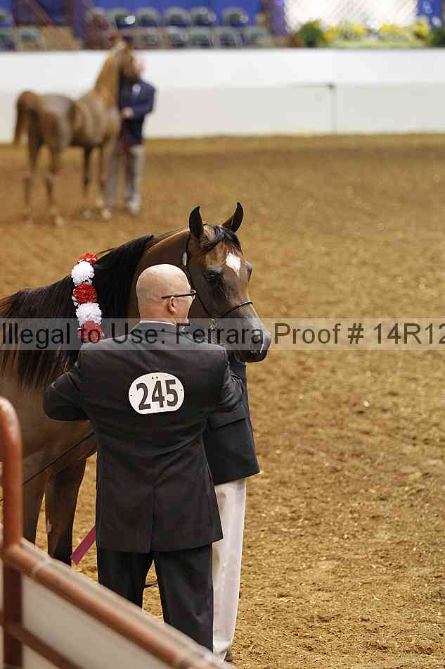Proof Number 14r12_0450