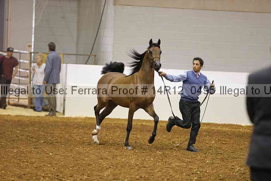 Proof Number 14r12_0495