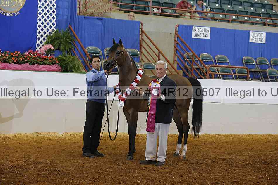 Proof Number 14r12_0507