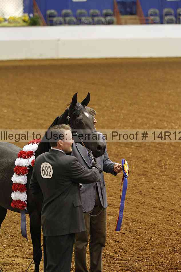 Proof Number 14r12_0809