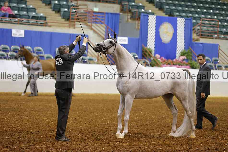 Proof Number 14r12_0733